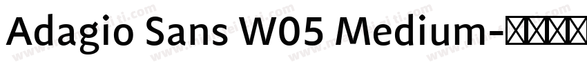 Adagio Sans W05 Medium字体转换